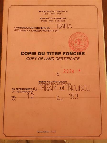 Gt Sarl Vous Propose Le Terrain À Ndikinimeki Au Lieu Dit Manon Etoundou 2 Groupe Tsamo Immo
