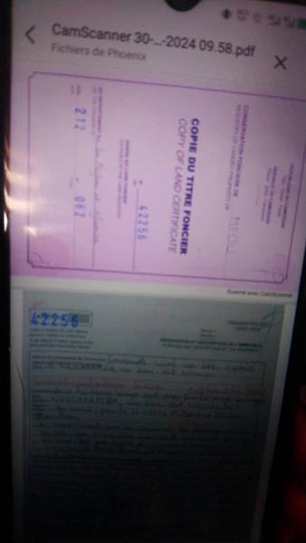 Gt Sarl Vous Propose Le Terrain D'une Superficie De 500M2 À Yaoundé Carrière Sur La Route De Monti À 100M Du Goudron Groupe Tsamo Immo