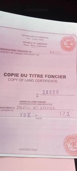 Terrain Avendre A Nkolafamba Groupe Tsamo Immo