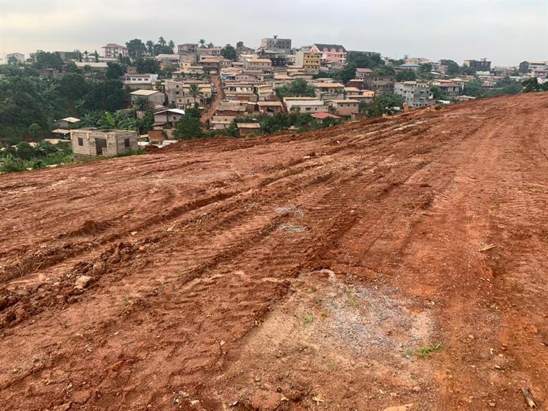 Terrain Àvendre À Nkozoa Dans Une Zone Habitée Et Electrifiée Groupe Tsamo Immo