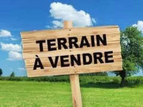 Terrain À Vendre Au Carrefour Tsinga Village En Bordure De Route Groupe Tsamo Immo