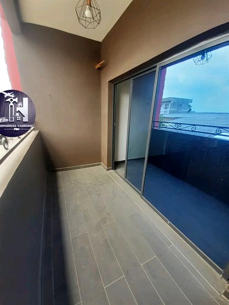 Magnifique Appartement Haute Standing A Louer A Akwa Pro Business Cameroun Sarl