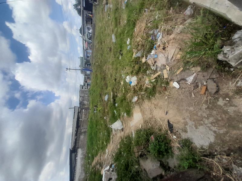 Magnifique Terrain À Louer Dans Les Environs De Cité Sic En Bordure De Route Pro Business Cameroun Sarl