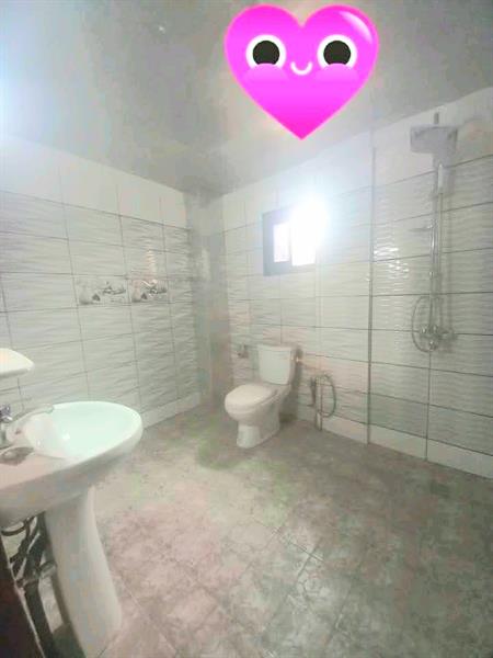 Magnifique Appartement A Louer A Ndogbong Bien Situé Nouvellement Construit Pro Business Cameroun Sarl