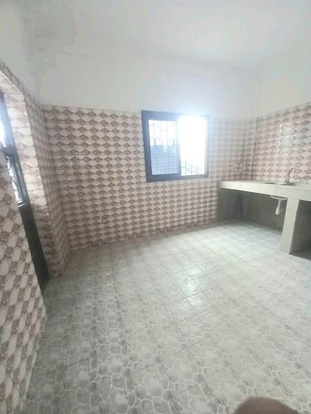 Magnifique Appartement A Louer A Ndogbong Bien Situé Nouvellement Construit Pro Business Cameroun Sarl