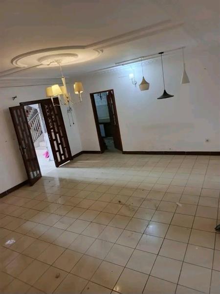 Magnifique Appartement A Louer A Ndogbong Pro Business Cameroun Sarl