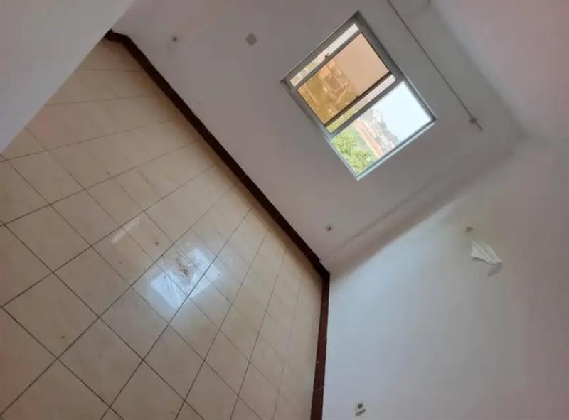 Magnifique Appartement A Louer A Ndogbong Pro Business Cameroun Sarl