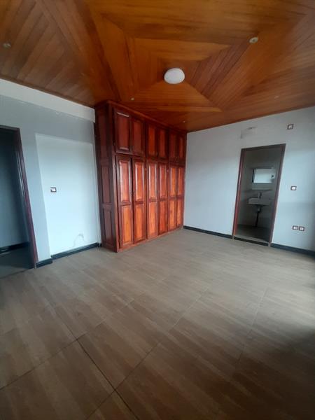 Magnifique Appartement Haute Standing A Louer A Bonamoussadi Pro Business Cameroun Sarl