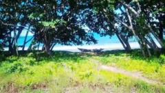 Terrain A Vendre A Kribi Avec Vue Exceptionnelle Sur La Mer,, Kribi, Immobilier au Cameroun