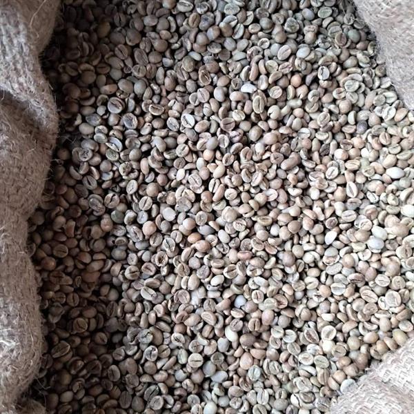 Green Coffee Beans(Arabica Coffee) +27719755564 
