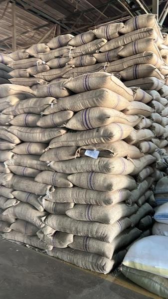 Green Coffee Beans(Arabica Coffee) +27719755564 