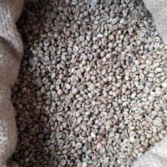 Green Coffee Beans(Arabica Coffee) +27719755564,, Akonolinga, Immobilier au Cameroun