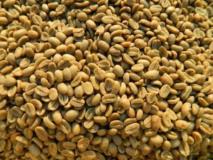 Green Coffee Beans(Arabica Coffee) +27719755564,, Akonolinga, Immobilier au Cameroun