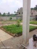 Villa À Vendre À Logbessou,, Douala, Cameroon Real Estate