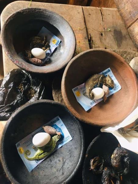 The Most Powerful Spiritual Herbalist Native Doctor In Nigeria+2349159450040 