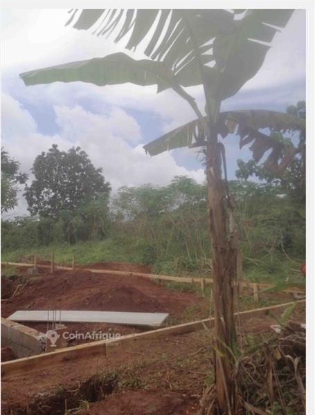 Terrain À Vendre À Nkozoa Au Niveau Du Lycée Bilingue