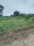 Terrain Titré À Vendre À Bwang Bakoko,, Douala, Immobilier au Cameroun