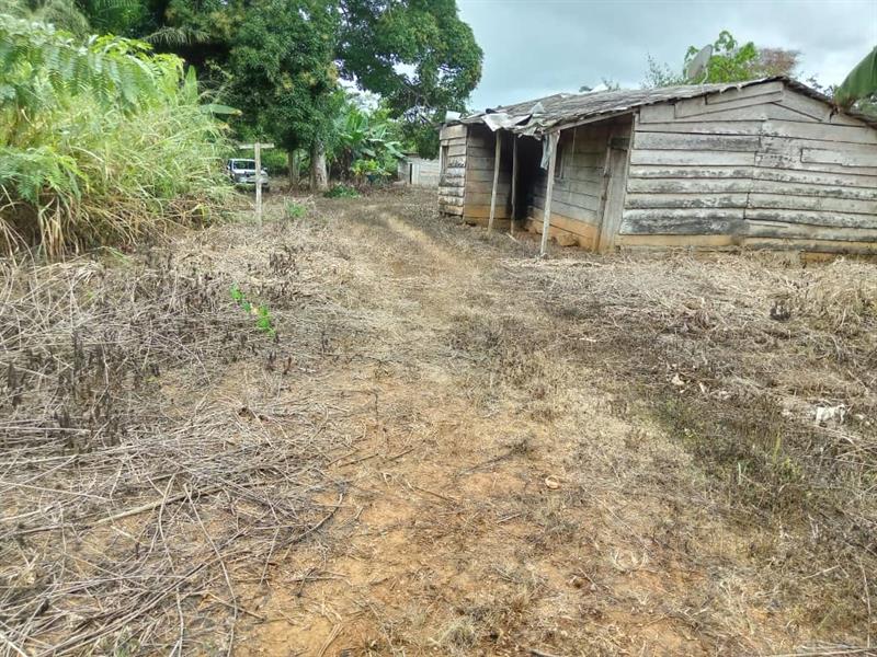 Terrain Agricole À Vendre Ovangul 