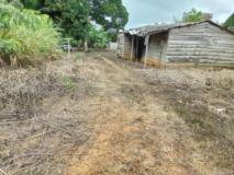 Terrain Agricole À Vendre Ovangul,, Yaoundé, Cameroon Real Estate