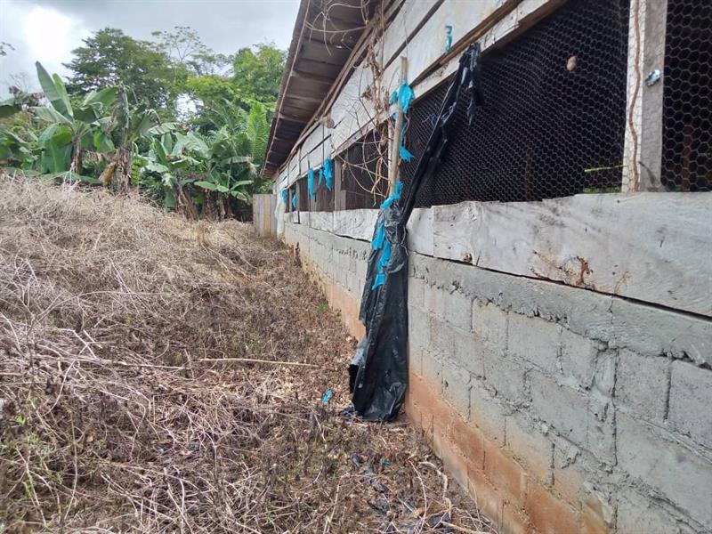 Terrain Agricole À Vendre Ovangul 