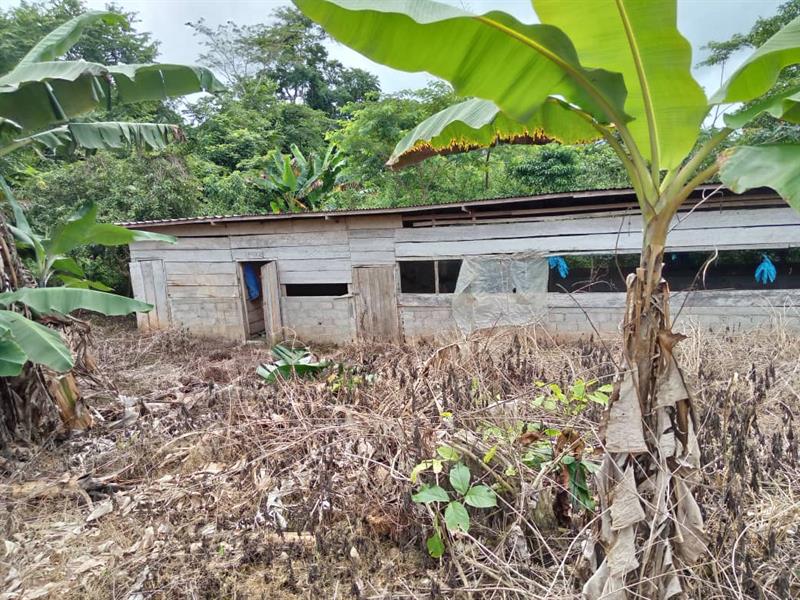 Terrain Agricole À Vendre Ovangul 