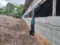 Terrain Agricole À Vendre Ovangul,, Yaoundé, Immobilier au Cameroun