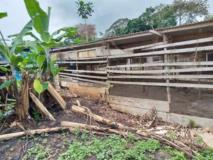 Terrain Agricole À Vendre Ovangul,, Yaoundé, Immobilier au Cameroun