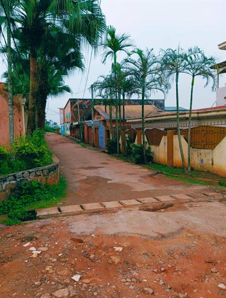 Terrain Commercial À Vendre À Mvan 