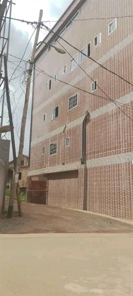 Immeuble À Vendre Odza Royal business center