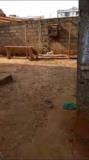 Immeuble À Vendre Damas,, Yaoundé, Immobilier au Cameroun