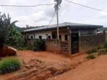 Camp À Vendre À Ebang,, Yaoundé, Immobilier au Cameroun
