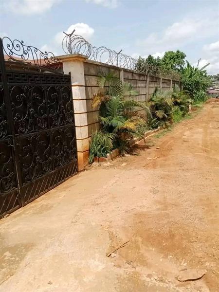 Duplex À Vendre Nkolmesseng Royal business center