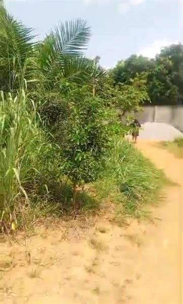 Terrain À Vendre Odza Fecafoot Royal business center