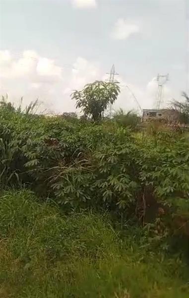 Terrain À Vendre Odza Fecafoot Royal business center