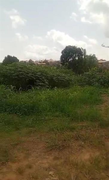 Terrain À Vendre Odza Fecafoot Royal business center