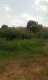 Terrain À Vendre Odza Fecafoot,, Yaoundé, Immobilier au Cameroun
