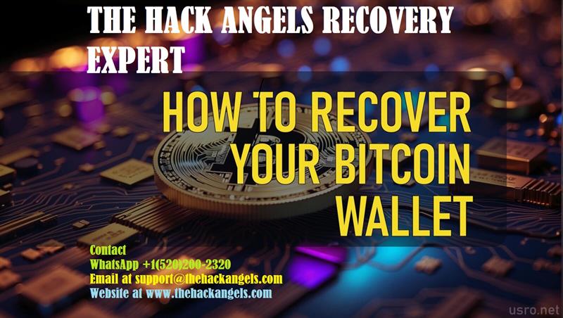 The Hack Angels Recovery Expert THE HACK ANGELS  RECOVERY EXPERT