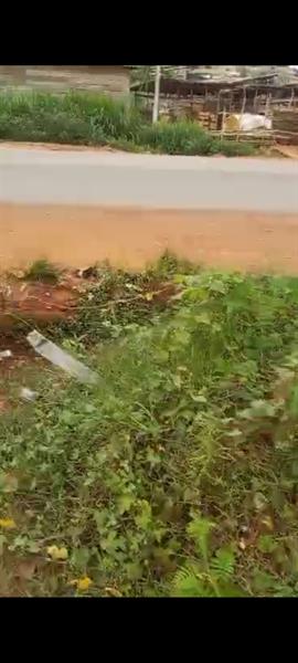 Terrain Titre À Vendre À Awae 