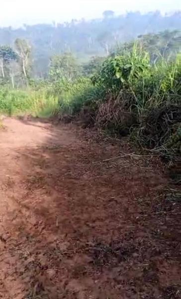 Liquidation Terrain À Mfou Royal business center