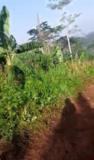 Liquidation Terrain À Mfou,, Yaoundé, Immobilier au Cameroun
