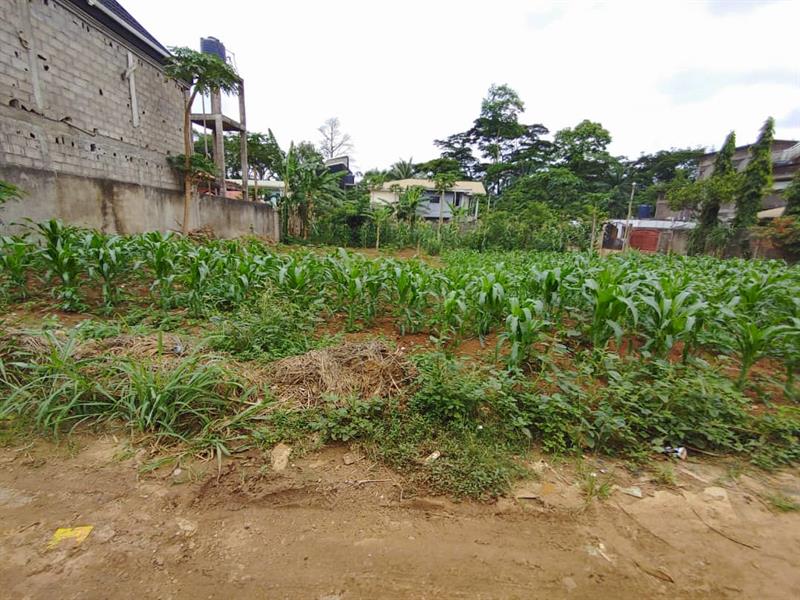 Terrain À Vendre Simbock Royal business center