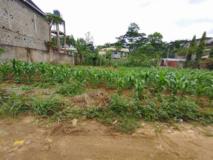 Terrain À Vendre Simbock,, Yaoundé, Cameroon Real Estate