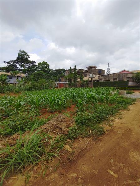 Terrain À Vendre Simbock Royal business center