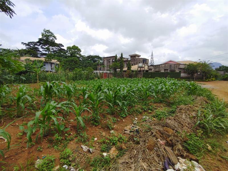 Terrain À Vendre Simbock Royal business center