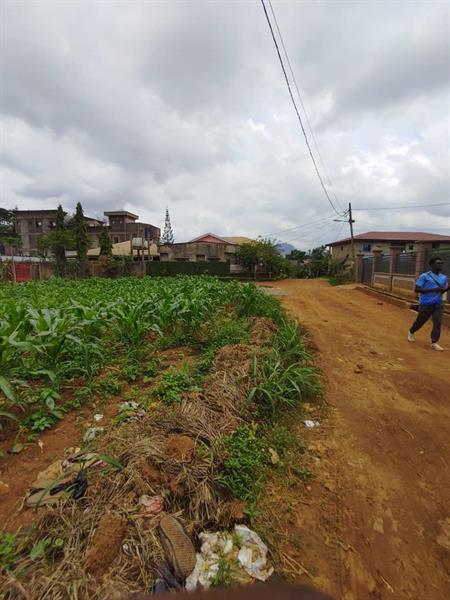 Terrain À Vendre Simbock Royal business center