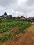 Terrain À Vendre Simbock,, Yaoundé, Cameroon Real Estate