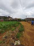 Terrain À Vendre Simbock,, Yaoundé, Immobilier au Cameroun
