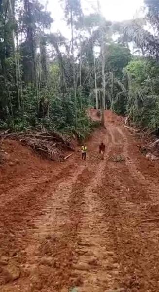 Liquidation À Lobo Royal business center