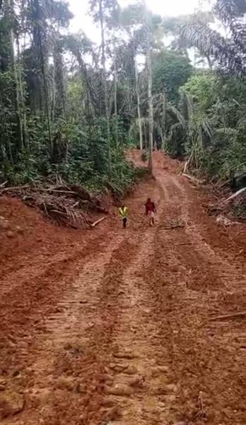 Liquidation À Lobo Royal business center