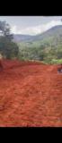Terrain À Vendre Elat,, Yaoundé, Immobilier au Cameroun